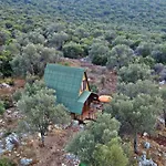 History Limanagzi Κας