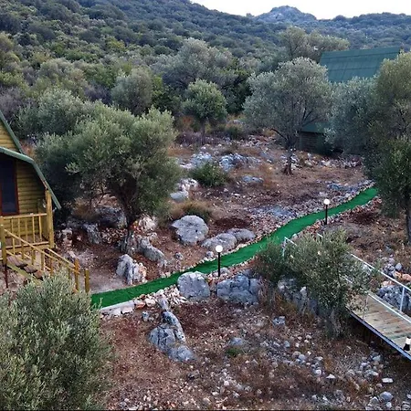 Ξενοδοχείο History Limanagzi 2*