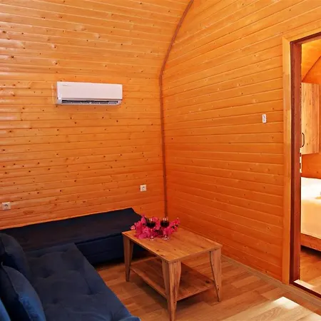 History Limanagzi فندق كاس