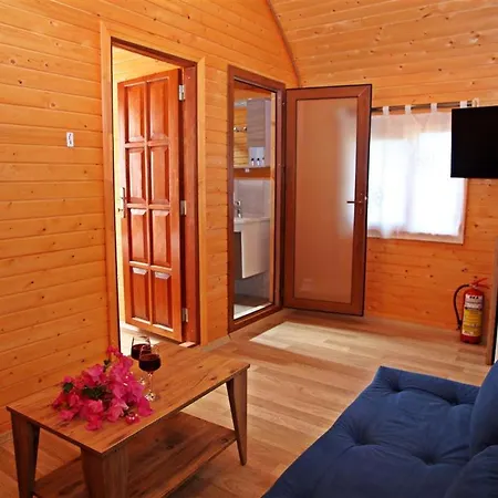 History Limanagzi كاس