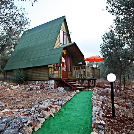 History Limanagzi 2* كاس