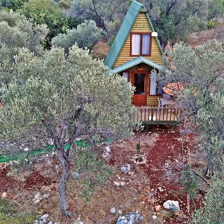 فندق History Limanagzi كاس