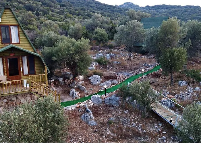 Hotell History Limanagzi 2*