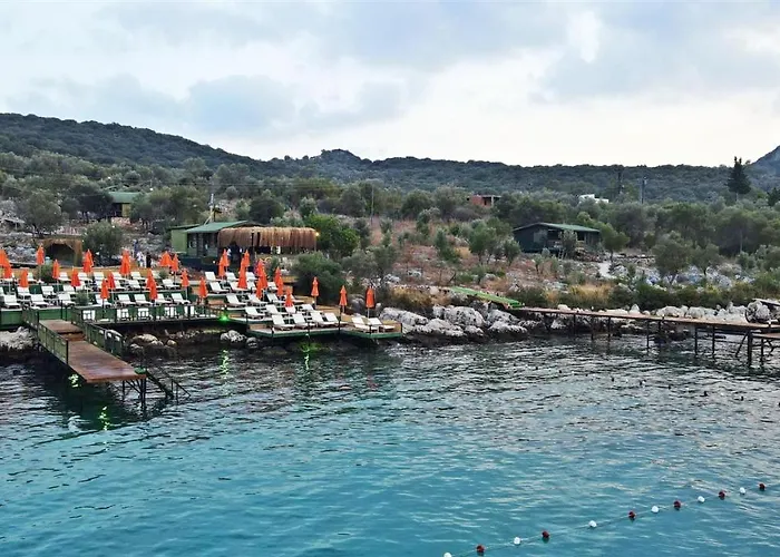 History Limanagzi Hotell