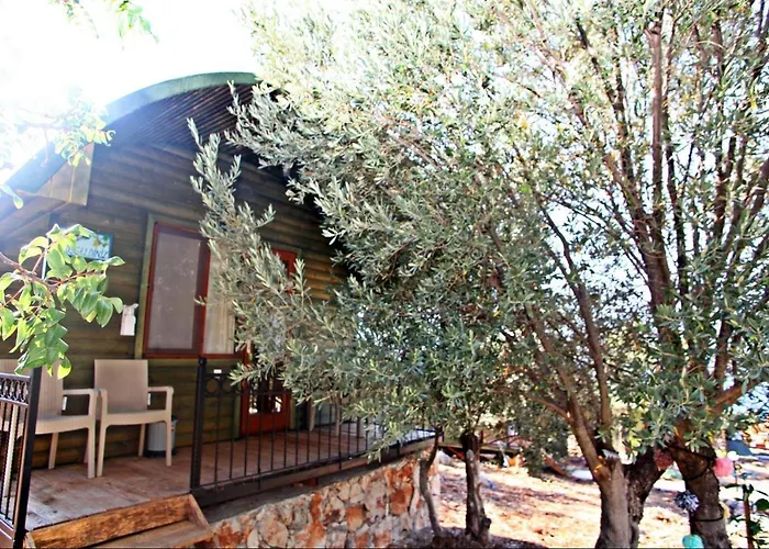 History Limanagzi Kaş