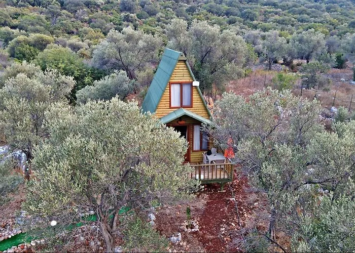 Hotel History Limanagzi 2*