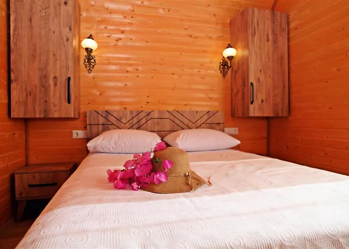 History Limanagzi 2* Kaş