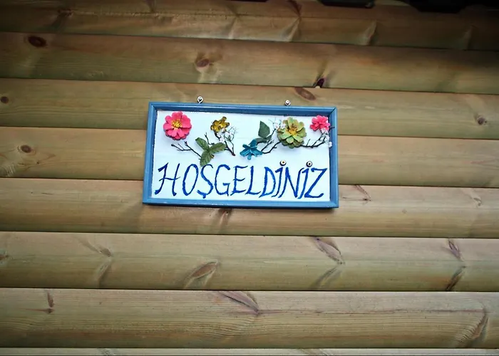 Hotel History Limanagzi